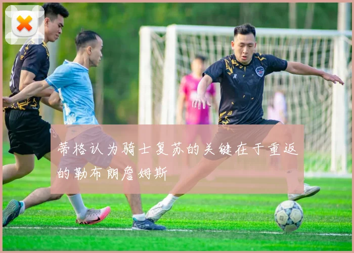 蒂格认为骑士复苏的关键在于重返的勒布朗詹姆斯