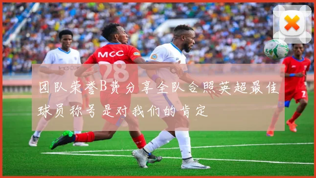 团队荣誉B费分享全队合照英超最佳球员称号是对我们的肯定